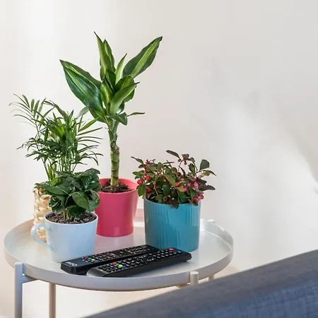 Guestready - Peaches & Cream