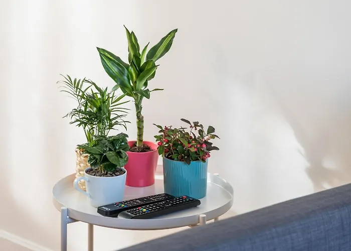 Guestready - Peaches & Cream * Oporto